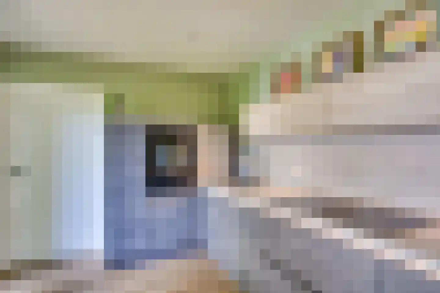 Beusakker 35 Someren thumbnail 15