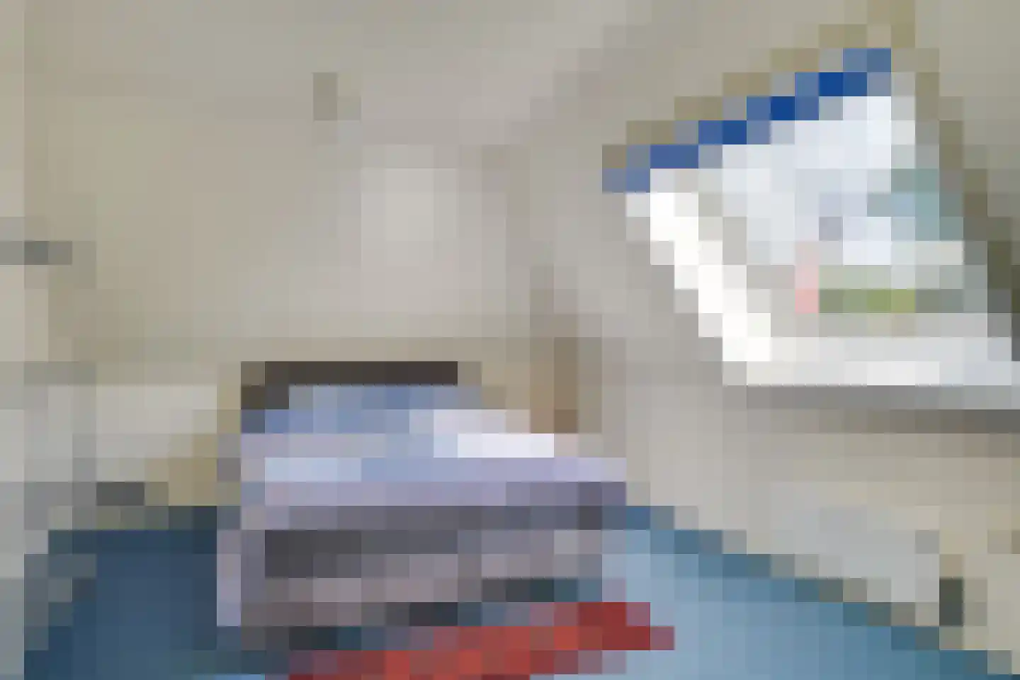 Beusakker 35 Someren thumbnail 35