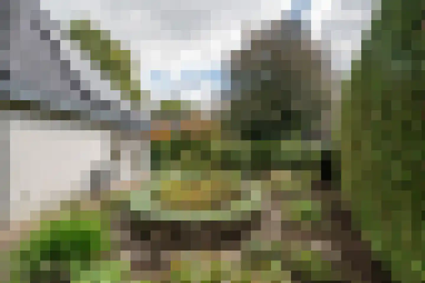 Beusakker 35 Someren thumbnail 42