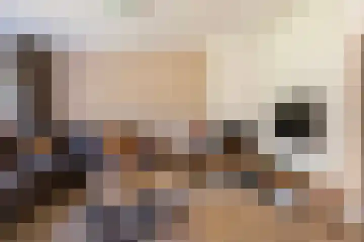 Beusbergen 7 Markelo thumbnail 16