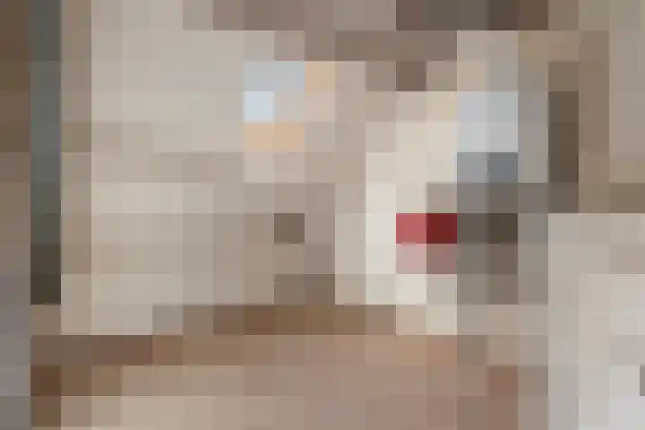 Beusbergen 7 Markelo thumbnail 28