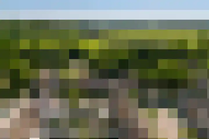 Beusbergen 7 Markelo thumbnail 32