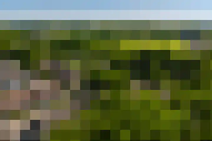 Beusbergen 7 Markelo thumbnail 33