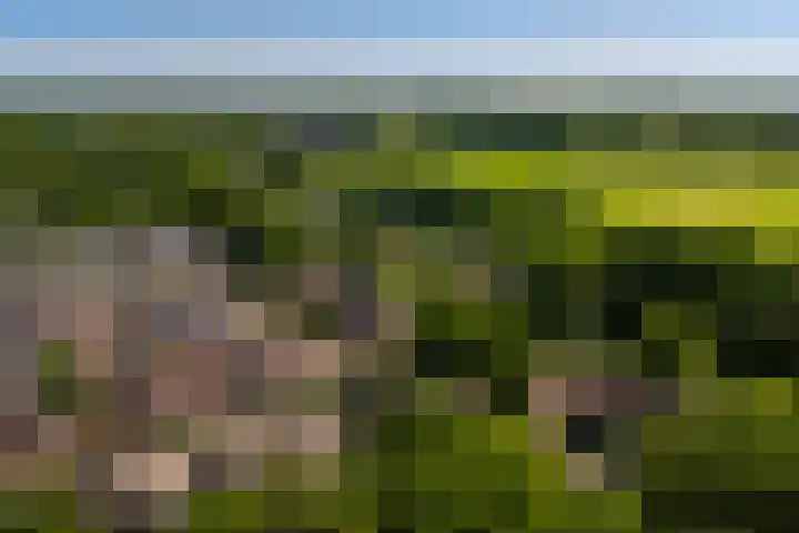 Beusbergen 7 Markelo thumbnail 34