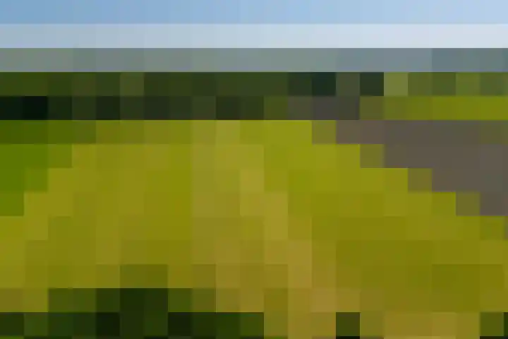 Beusbergen 7 Markelo thumbnail 35