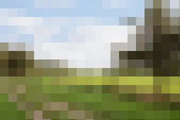 Beusbergen 7 Markelo thumbnail 36