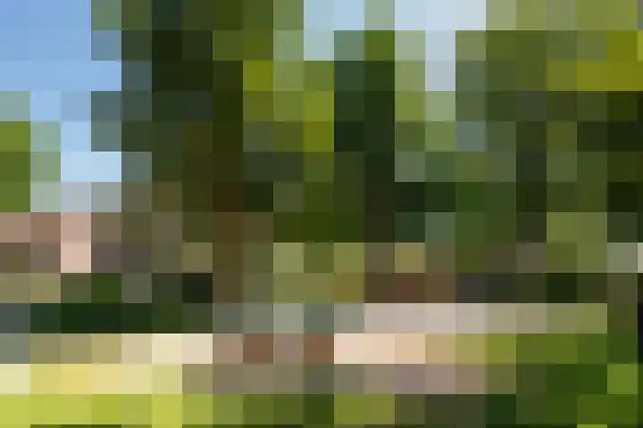 Beusbergen 7 Markelo thumbnail 37
