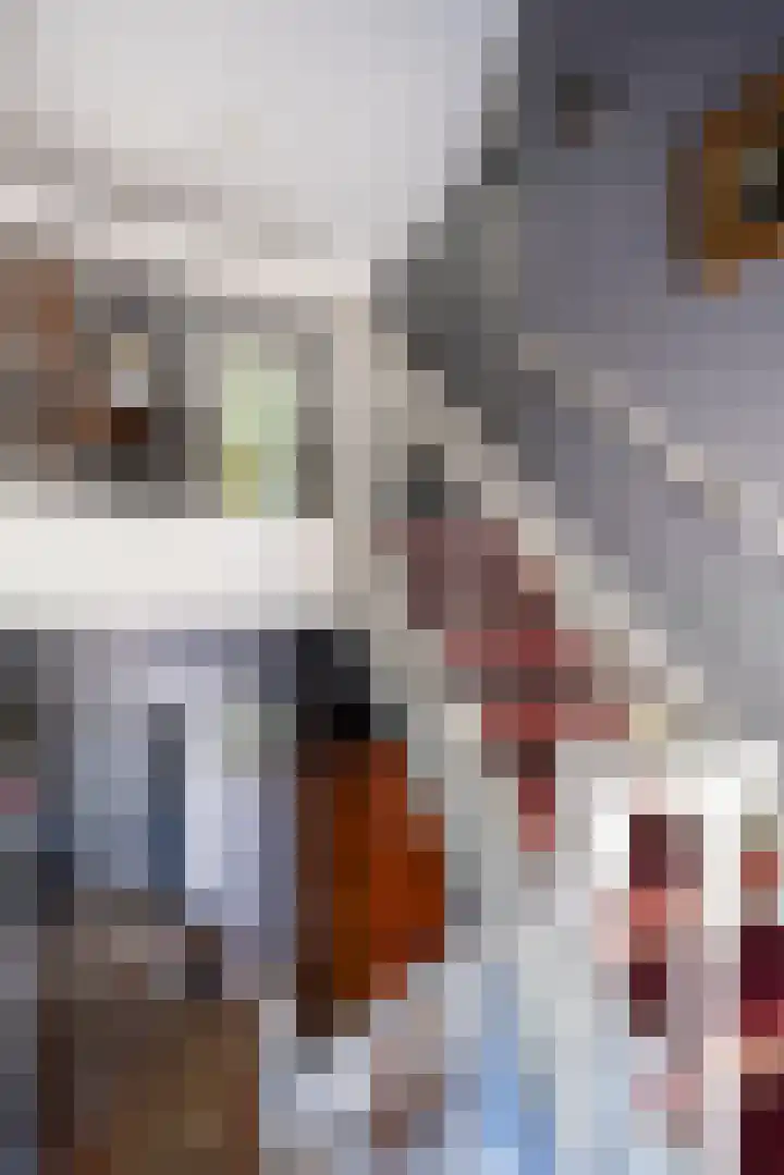Beusebergerweg 31 Holten thumbnail 32