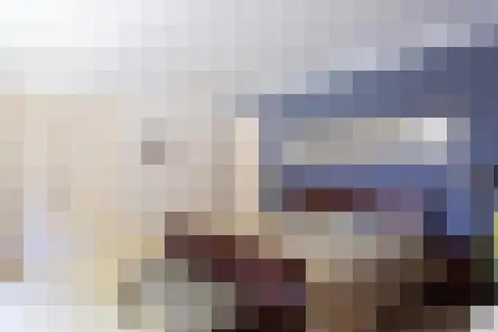 Beusebergerweg 31 Holten thumbnail 37
