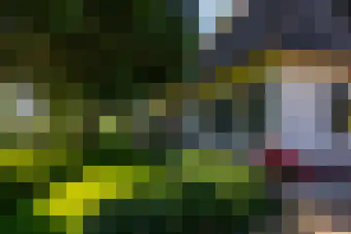 Beusebergerweg 31 Holten thumbnail 67