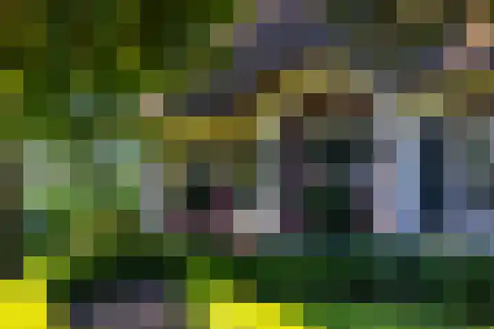 Beusebergerweg 31 Holten thumbnail 68