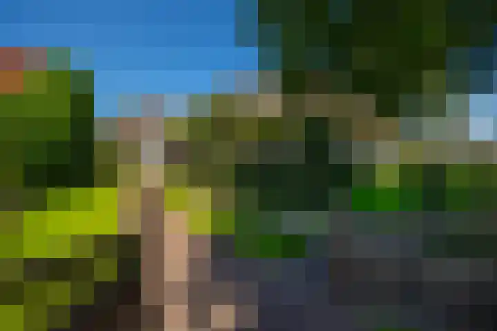 Beusebergerweg 31 Holten thumbnail 81
