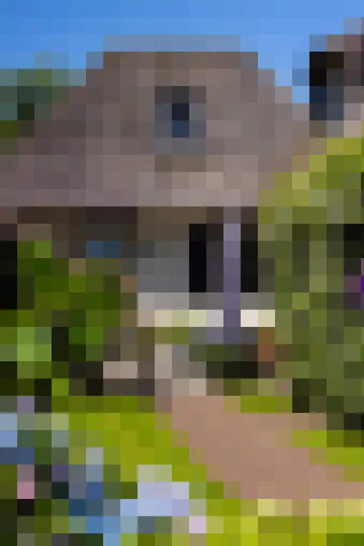 Beusebergerweg 31 Holten thumbnail 83