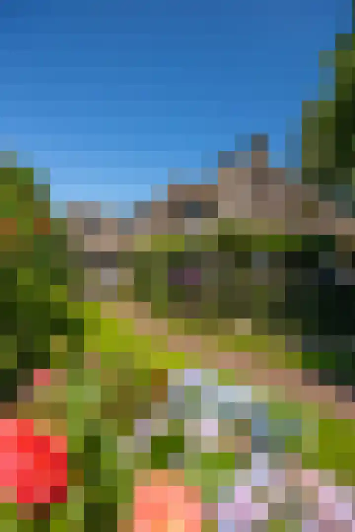 Beusebergerweg 31 Holten thumbnail 84