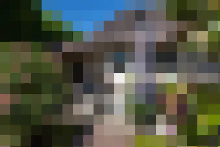Beusebergerweg 31 Holten thumbnail 85