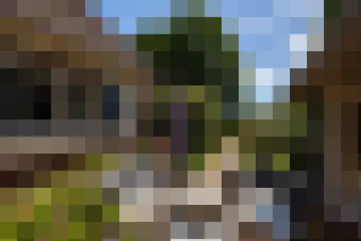 Beusebergerweg 31 Holten thumbnail 86