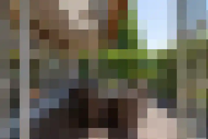 Beusebergerweg 31 Holten thumbnail 90