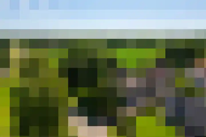 Beusebergerweg 31 Holten thumbnail 92