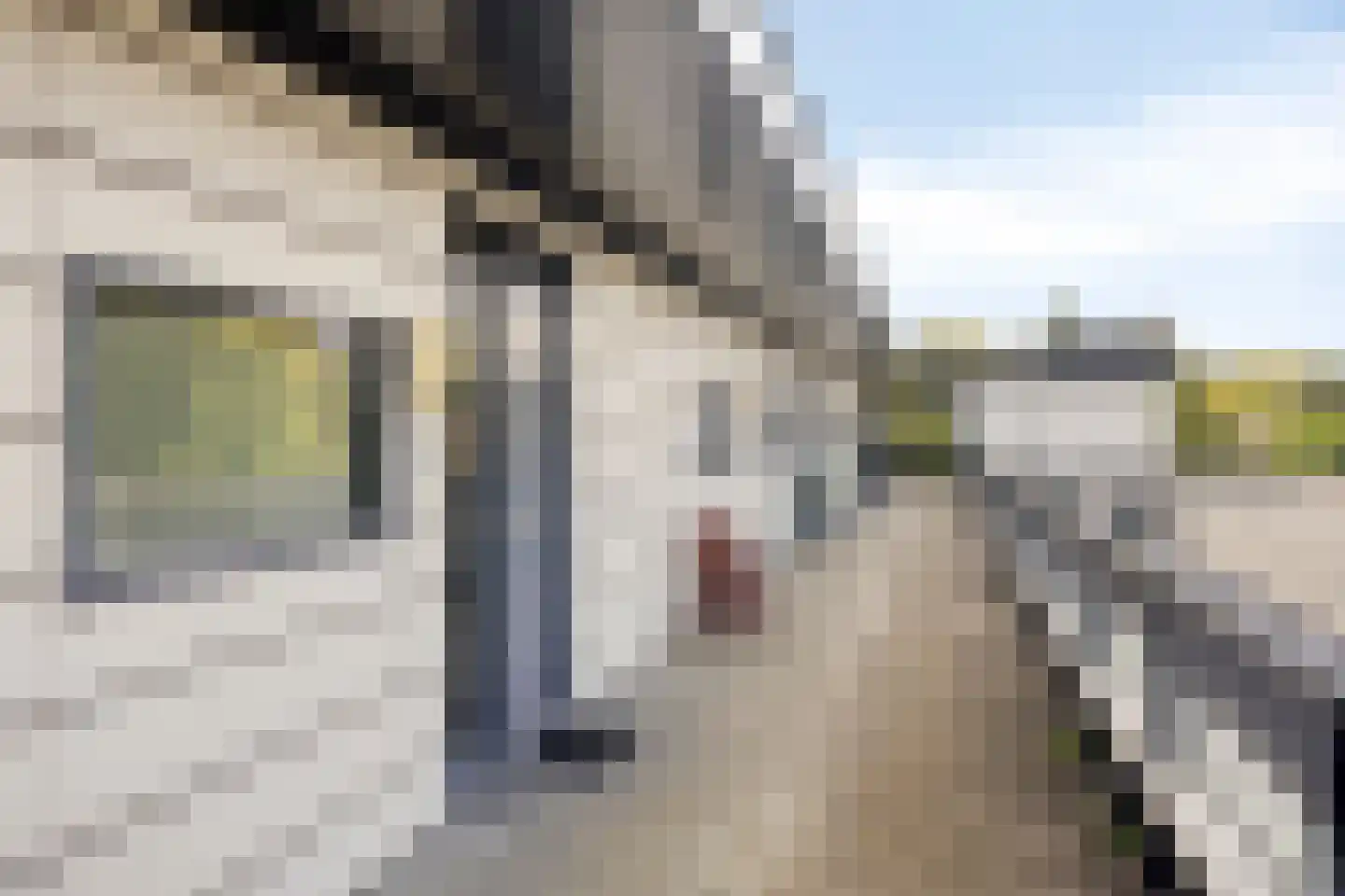 Beusekamplaan 36 Lochem thumbnail 11