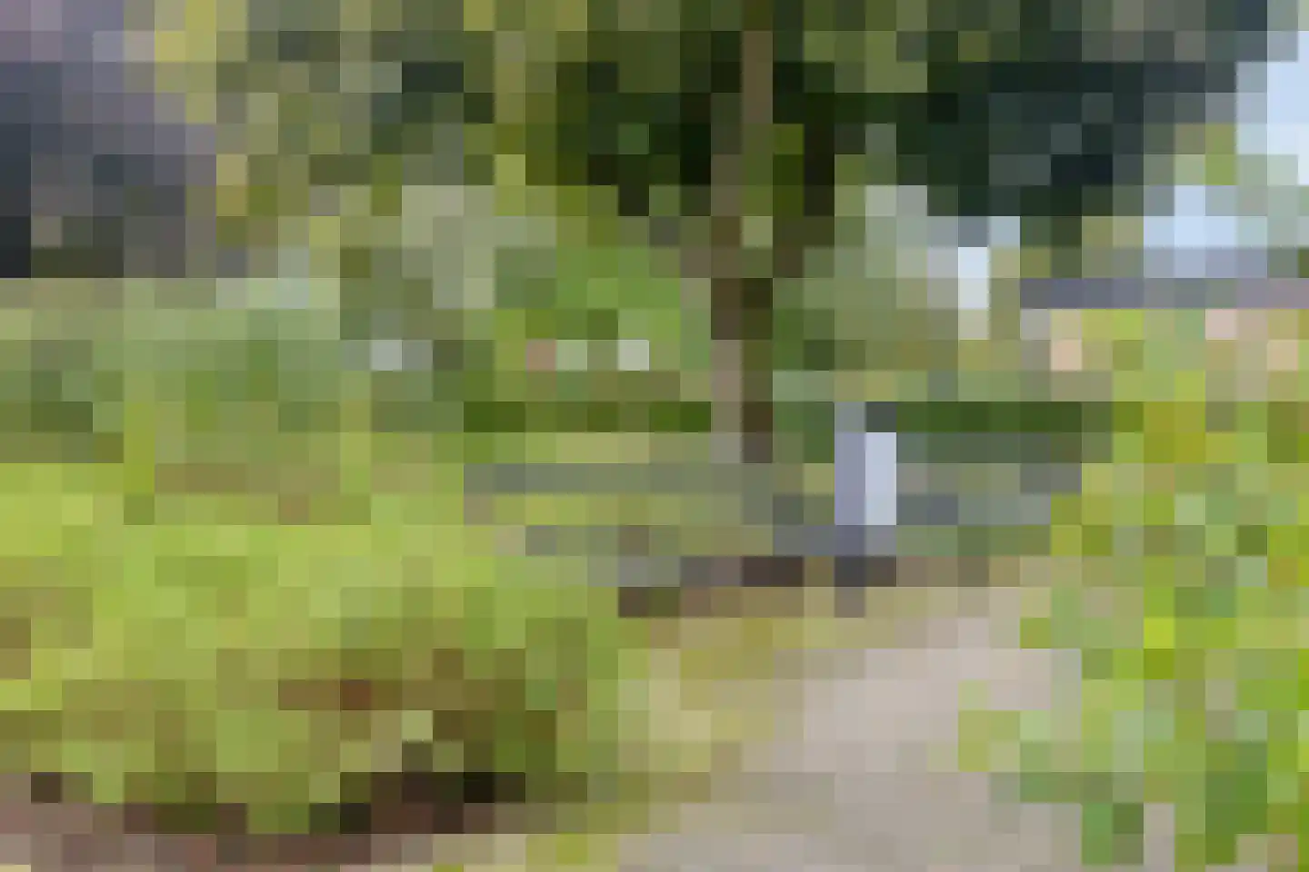 Beusekamplaan 36 Lochem thumbnail 25
