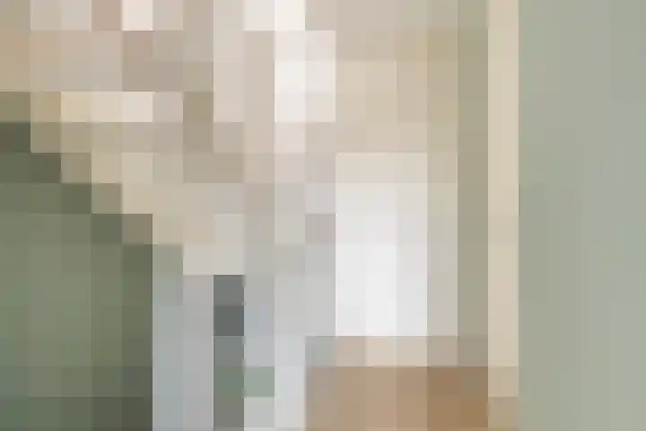 Beusekamplaan 5 Lochem thumbnail 18