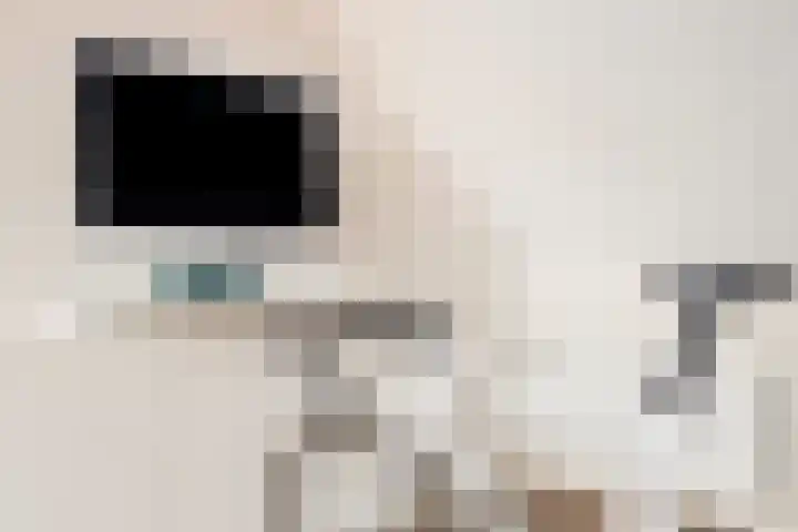 Beusekamplaan 5 Lochem thumbnail 29