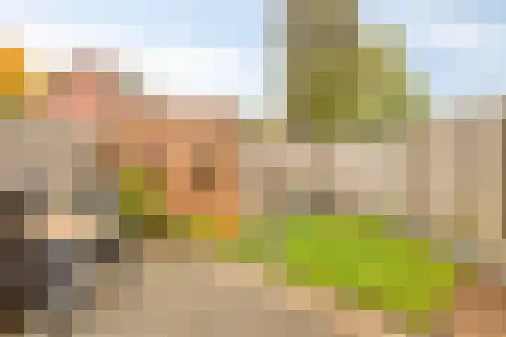 Beusekamplaan 5 Lochem thumbnail 30