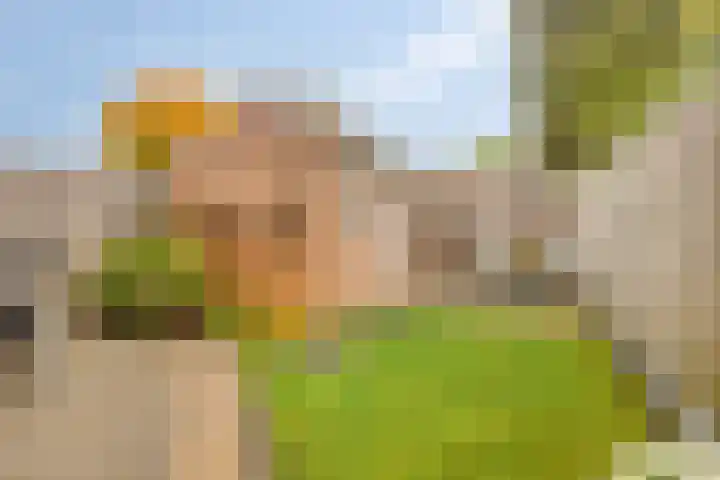 Beusekamplaan 5 Lochem thumbnail 31