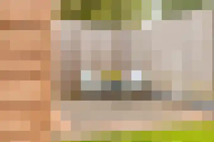 Beusekamplaan 5 Lochem thumbnail 32