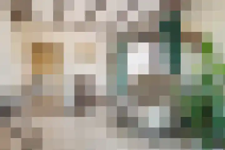 Beusichemsedijk 6 Culemborg thumbnail 12