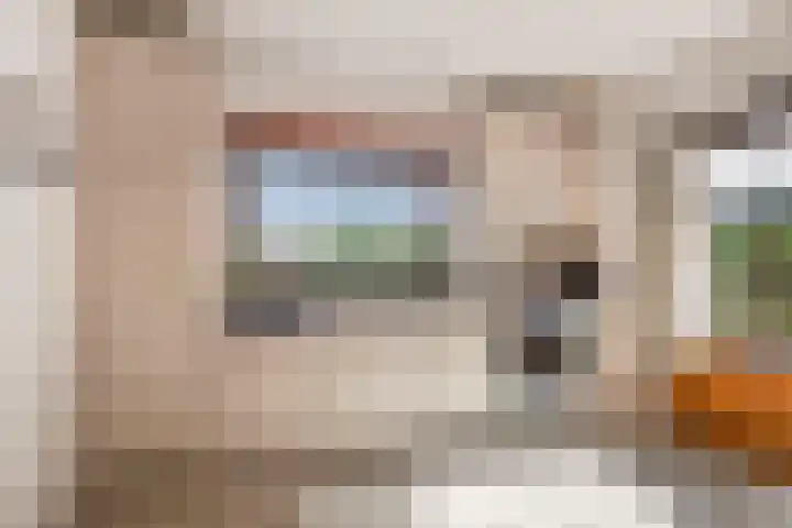 Beusichemsedijk 6 Culemborg thumbnail 16