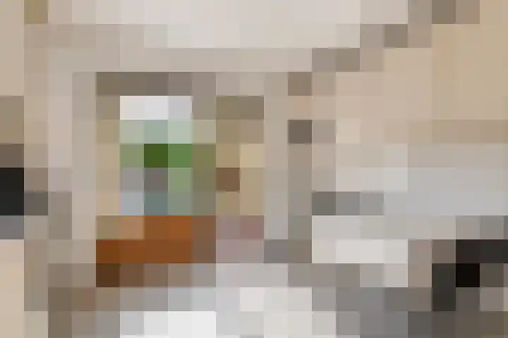Beusichemsedijk 6 Culemborg thumbnail 17