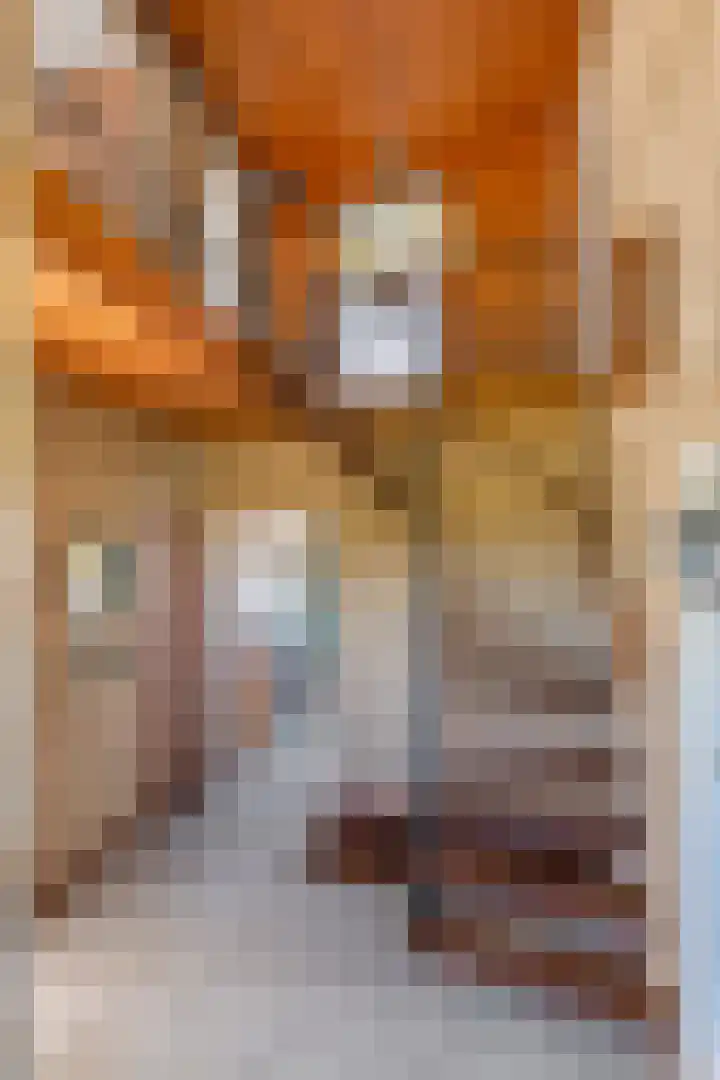 Beusichemsedijk 6 Culemborg thumbnail 18