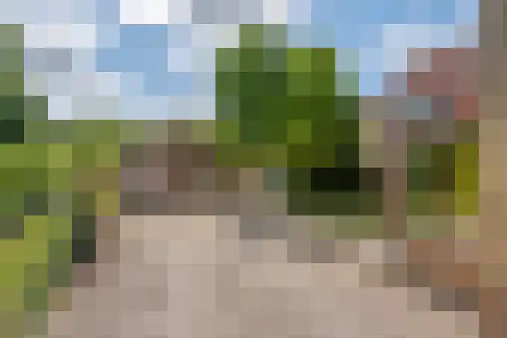 Beusichemsedijk 6 Culemborg thumbnail 32