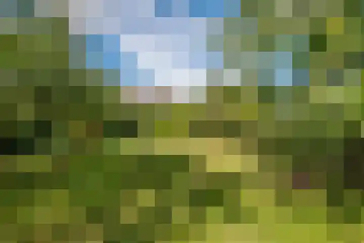 Beusichemsedijk 6 Culemborg thumbnail 33