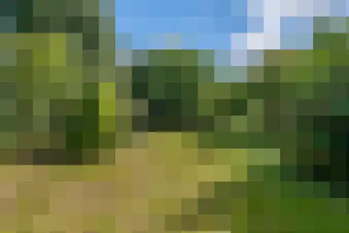 Beusichemsedijk 6 Culemborg thumbnail 34