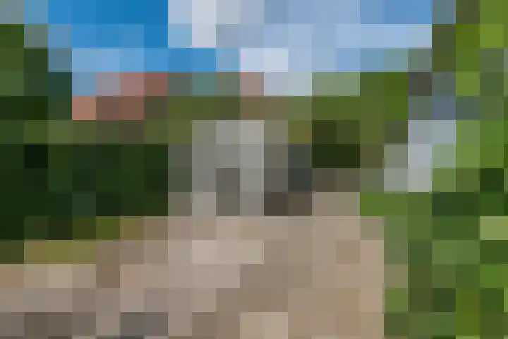 Beusichemsedijk 6 Culemborg thumbnail 35