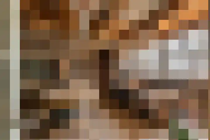 Beusichemsedijk 6 Culemborg thumbnail 38
