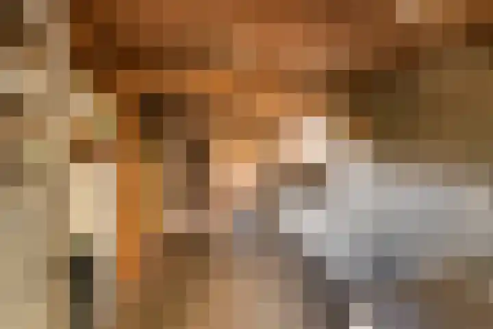 Beusichemsedijk 6 Culemborg thumbnail 40