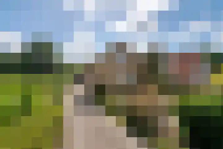 Beusichemsedijk 6 Culemborg thumbnail 41