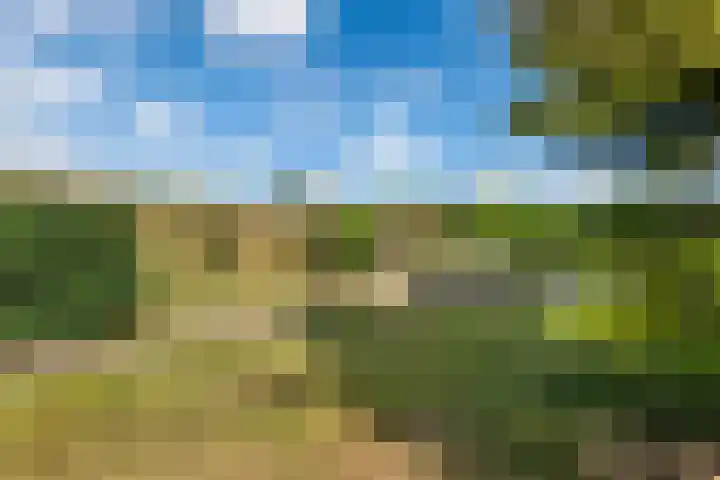 Beusichemsedijk 6 Culemborg thumbnail 42