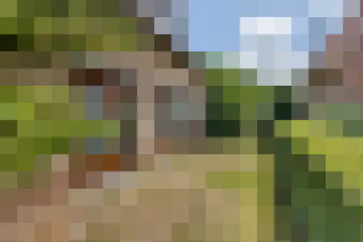 Beusichemsedijk 6 Culemborg thumbnail 44