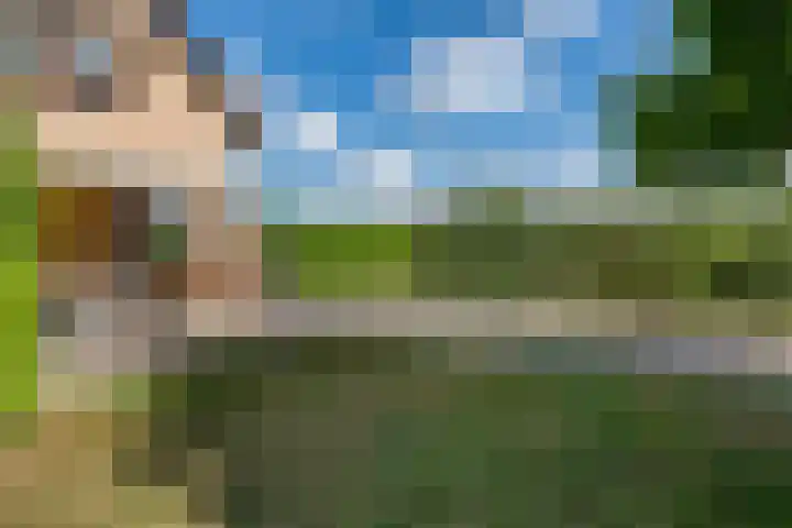 Beusichemsedijk 6 Culemborg thumbnail 47