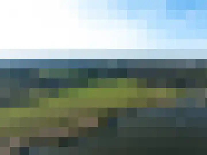 Beusichemsedijk 6 Culemborg thumbnail 49