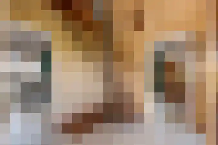 Beusichemsedijk 6 Culemborg thumbnail 5