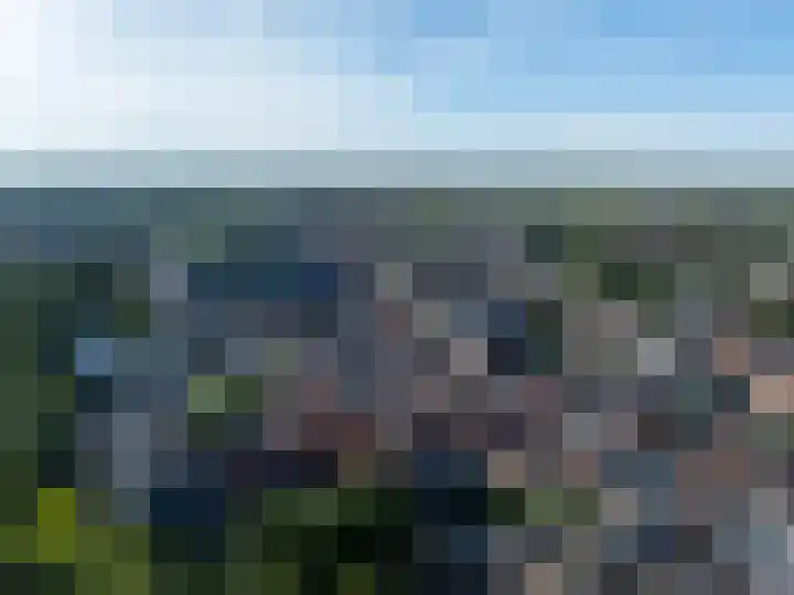 Beusichemsedijk 6 Culemborg thumbnail 51