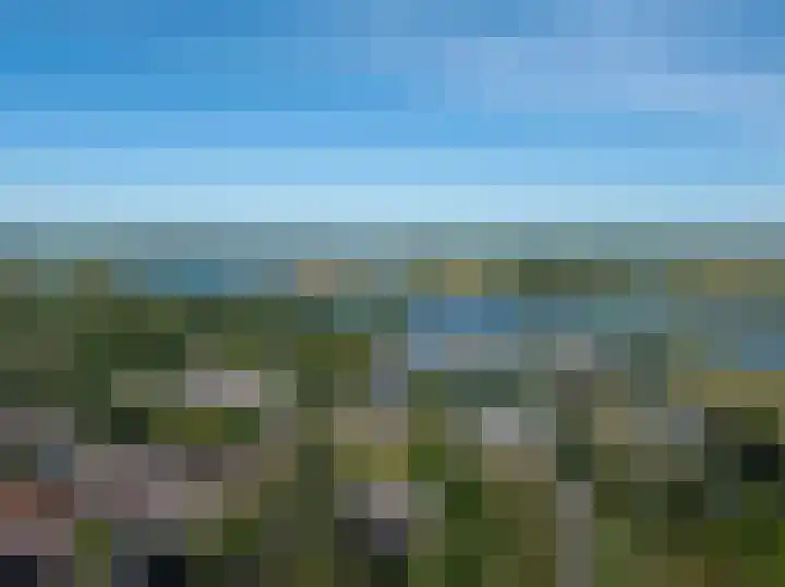 Beusichemsedijk 6 Culemborg thumbnail 52