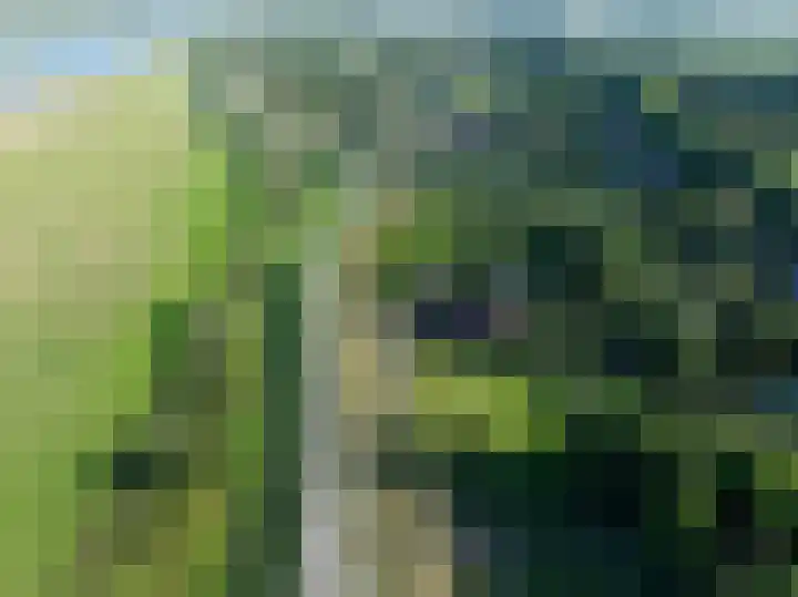 Beusichemsedijk 6 Culemborg thumbnail 53