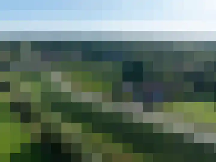 Beusichemsedijk 6 Culemborg thumbnail 54