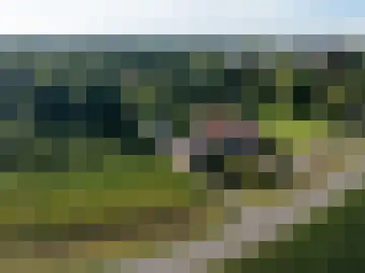 Beusichemsedijk 6 Culemborg thumbnail 56